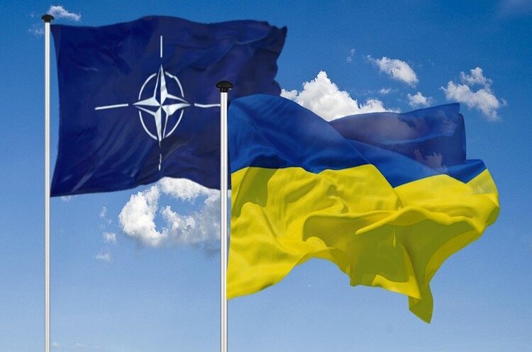 У Польщі розкритикували позицію Німеччини щодо вступу України до НАТО