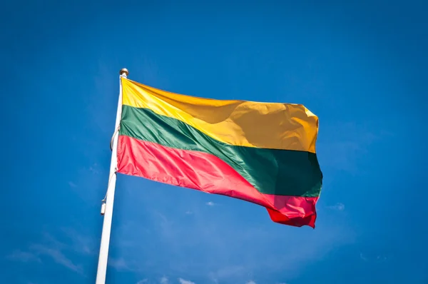 Україна отримає від Литви NASAMS і безпілотники
